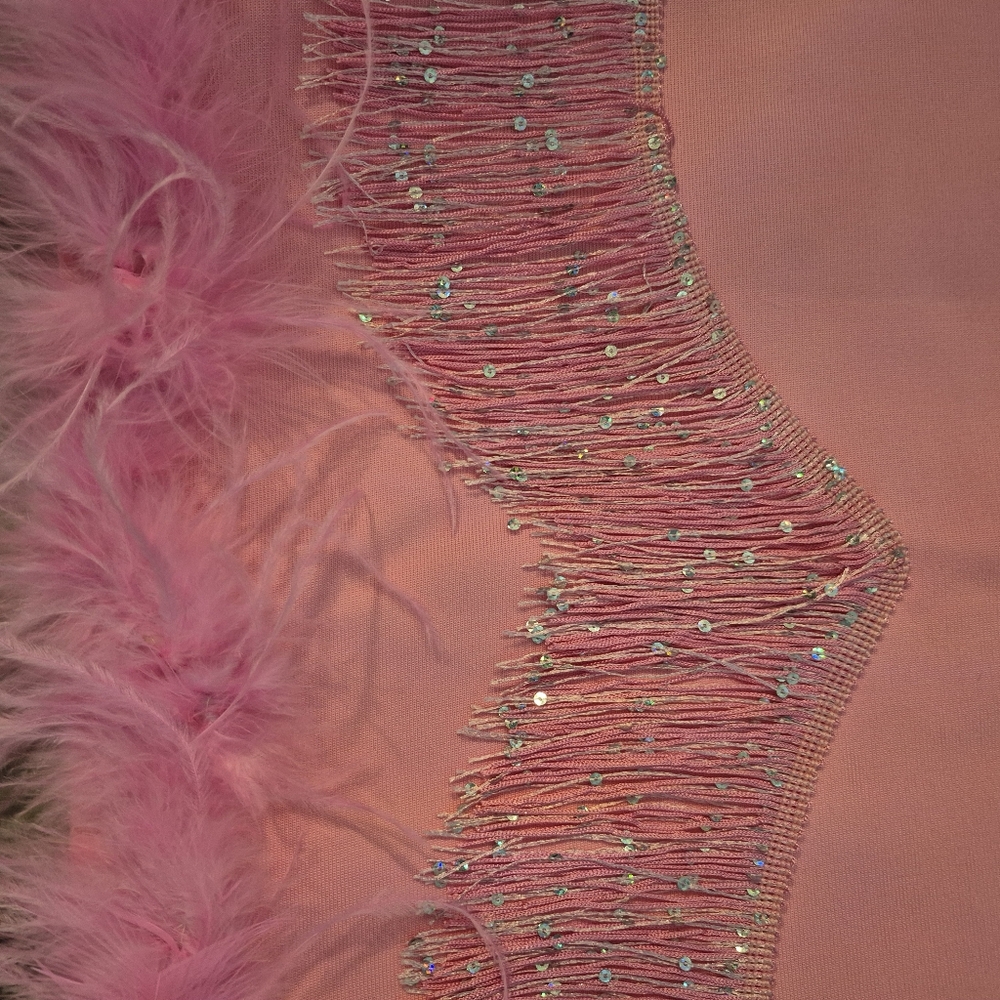 Fashion Nova Slip Dress Bodycon Glam Night Feathers Fringe Beads Pink M/L - Picture 5 of 9